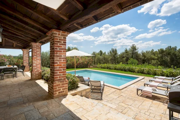 Villa Rorripa & Reichardia